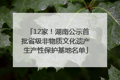 12家！湖南公示首批省级非物质文化遗产生产性保护基地名单