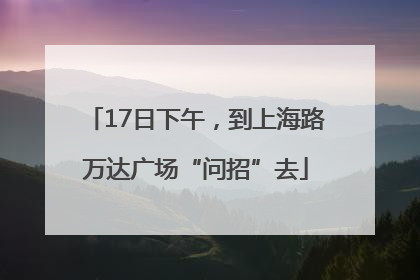 17日下午，到上海路万达广场“问招”去