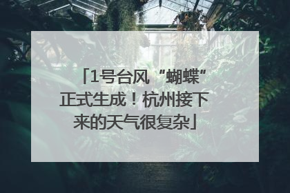 1号台风“蝴蝶”正式生成！杭州接下来的天气很复杂