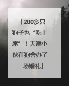 200多只狗子也“吃上席”！天津小伙在狗舍办了一场婚礼
