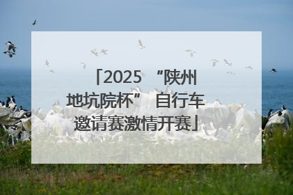 2025 “陕州地坑院杯” 自行车邀请赛激情开赛