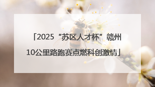 2025“苏区人才杯”赣州10公里路跑赛点燃科创激情