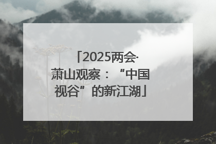 2025两会·萧山观察：“中国视谷”的新江湖