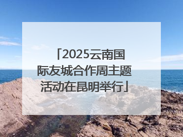 2025云南国际友城合作周主题活动在昆明举行