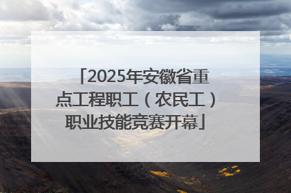 2025年安徽省重点工程职工（农民工）职业技能竞赛开幕