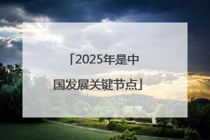 2025年是中国发展关键节点