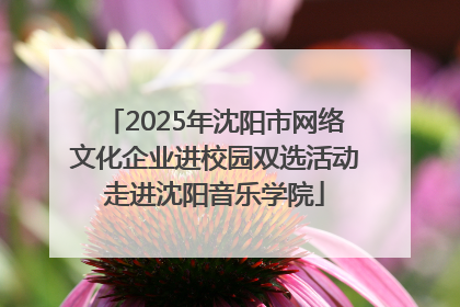2025年沈阳市网络文化企业进校园双选活动走进沈阳音乐学院