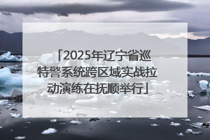 2025年辽宁省巡特警系统跨区域实战拉动演练在抚顺举行