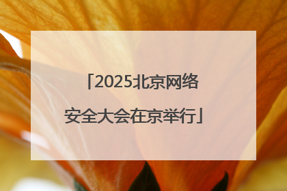 2025北京网络安全大会在京举行