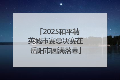 2025和平精英城市赛总决赛在岳阳市圆满落幕