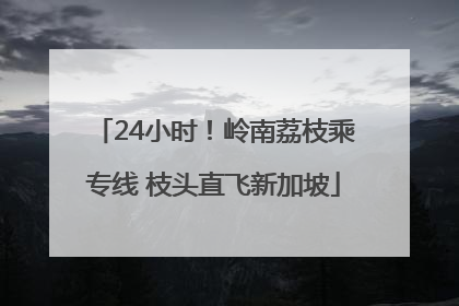 24小时！岭南荔枝乘专线 枝头直飞新加坡
