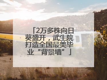2万多株向日葵盛开，武生院打造全国最美毕业“背景墙”