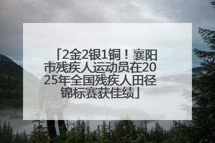 2金2银1铜！襄阳市残疾人运动员在2025年全国残疾人田径锦标赛获佳绩