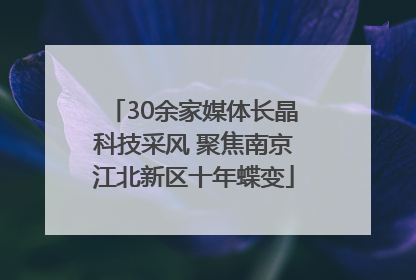 30余家媒体长晶科技采风 聚焦南京江北新区十年蝶变