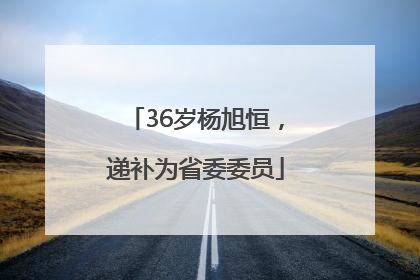 36岁杨旭恒，递补为省委委员