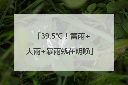 39.5℃！雷雨+大雨+暴雨就在明晚