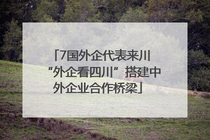 7国外企代表来川 “外企看四川”搭建中外企业合作桥梁