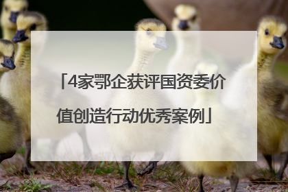 4家鄂企获评国资委价值创造行动优秀案例