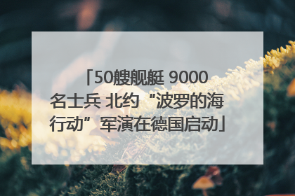 50艘舰艇 9000名士兵 北约“波罗的海行动”军演在德国启动