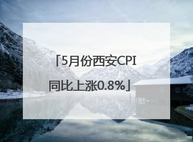 5月份西安CPI同比上涨0.8%