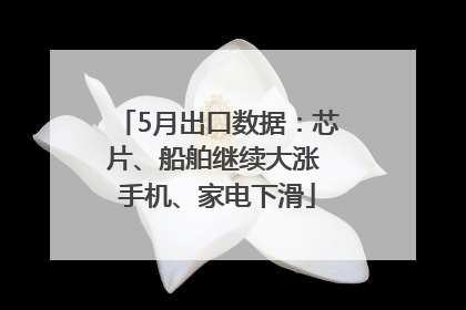 5月出口数据：芯片、船舶继续大涨 手机、家电下滑