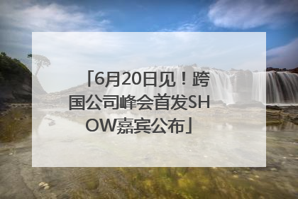 6月20日见！跨国公司峰会首发SHOW嘉宾公布