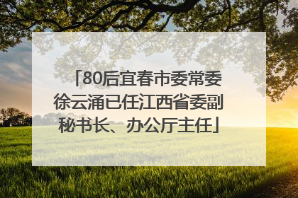 80后宜春市委常委徐云涌已任江西省委副秘书长、办公厅主任