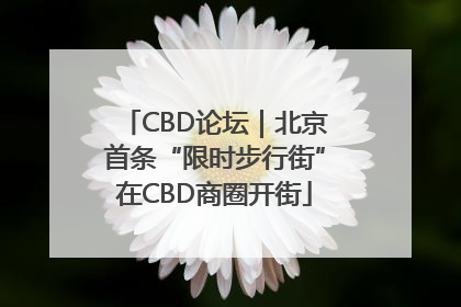 CBD论坛｜北京首条“限时步行街”在CBD商圈开街