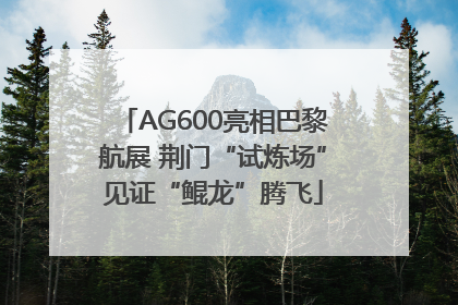 AG600亮相巴黎航展 荆门“试炼场”见证“鲲龙”腾飞