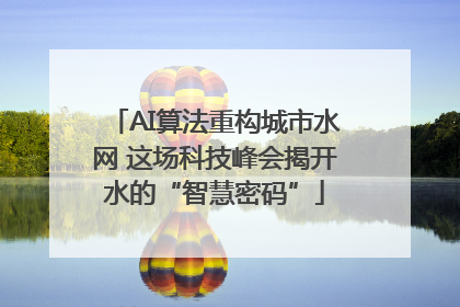 AI算法重构城市水网 这场科技峰会揭开水的“智慧密码”