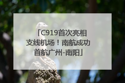 C919首次亮相支线机场！南航成功首航广州-南阳