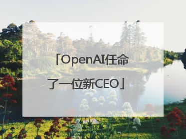 OpenAI任命了一位新CEO