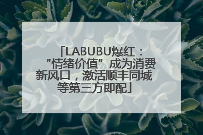 LABUBU爆红：“情绪价值”成为消费新风口，激活顺丰同城等第三方即配