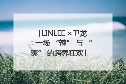 LINLEE ×卫龙：一场 “辣” 与 “爽” 的跨界狂欢