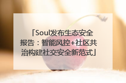 Soul发布生态安全报告：智能风控+社区共治构建社交安全新范式